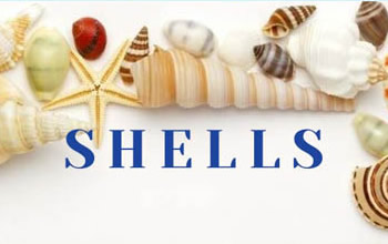 M(jn)Q(mo)׾W(wng)վO(sh)