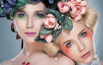 Vt(y)Ƽ޹˾W(wng)վO